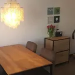 Fisch Prázdninový dům