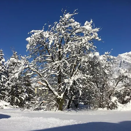 Vakantiehuis Fisch *