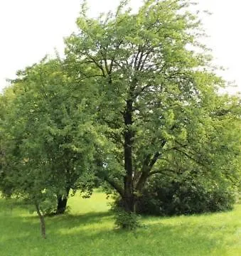 Fisch Vakantiehuis Bad Ragaz