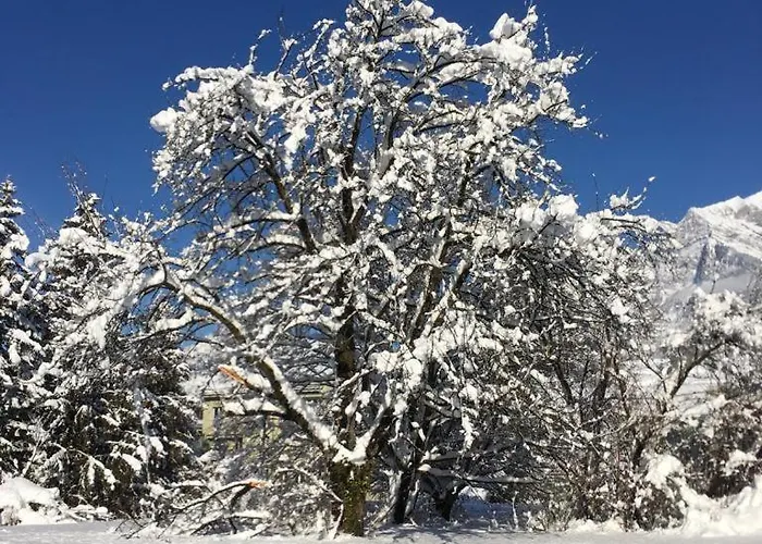 Vakantiehuis Fisch *